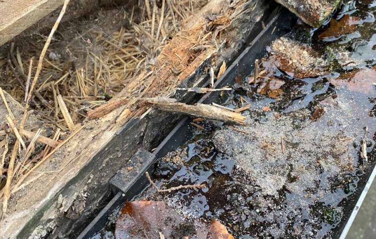 fe49921f-9f9d-4a13-bcac-077b239d8d95